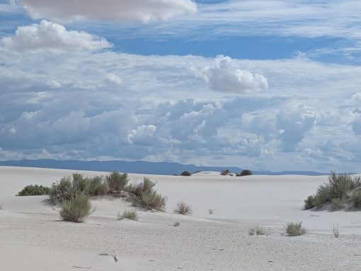 WSNP Dunes