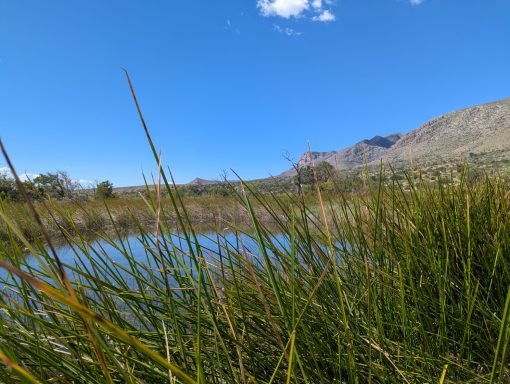 Manzanita Spring Trail